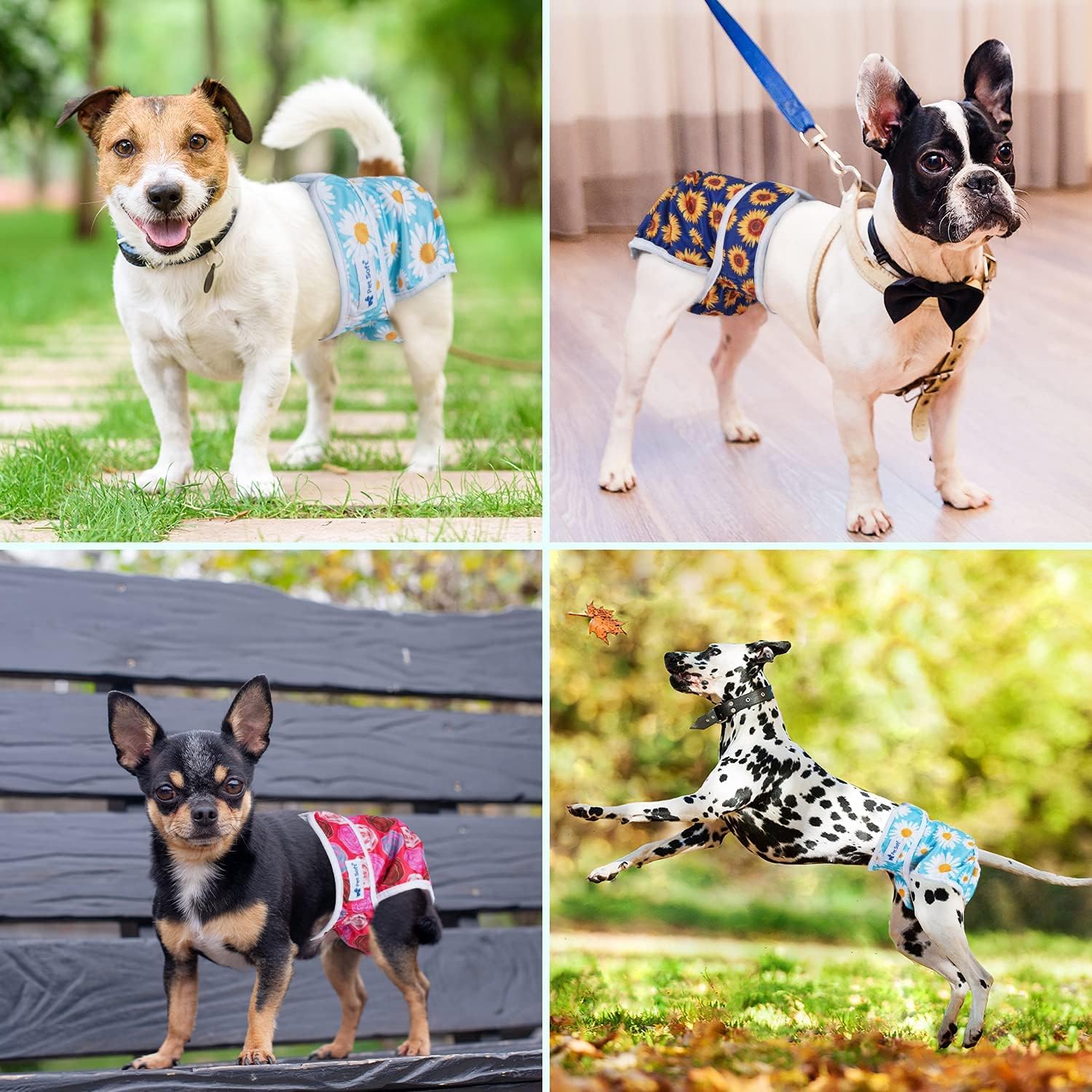 Pet Soft Female Dog Diapers, 3 Pack Washable Dog Diapers Female for Dogs in Heat Reusable Dogs Period Panties, Puppy Diapers (Flower, M)